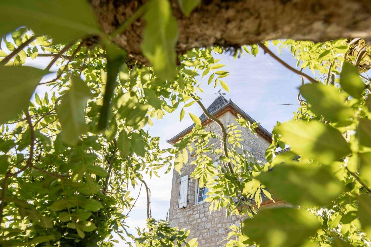 Domaine La Garenne Panzió Reilhaguet Kültér fotó