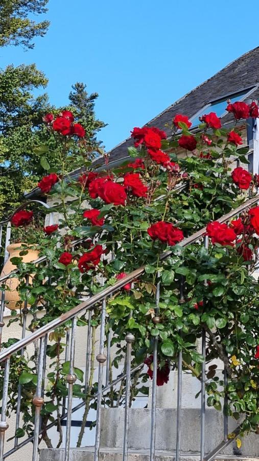Domaine La Garenne Panzió Reilhaguet Kültér fotó